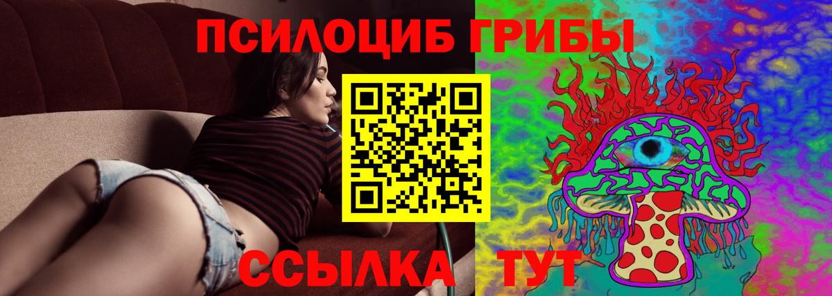Морозовск  Галлюциногенные грибы GOLDEN TEACHER  Вход с VPN  Галлюциногенные грибы Psilocybine cubensis 
